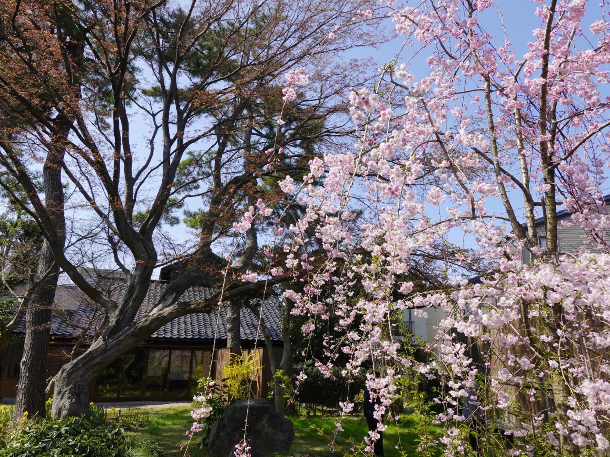 Machi No Odoriba Kanazawa Exterior foto